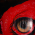 Avatar für DCTUTTT
