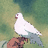 Avatar for Delieneris