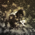 whxnyousleep için avatar