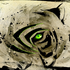 Avatar for Amany_red_lioN