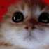Avatar for Sleepyg356