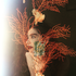 Avatar for oBicycleo