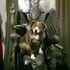 Avatar for xander872