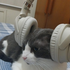 Avatar de thomazmusicas