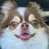 Avatar for piesuko