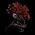 Avatar di Auracle