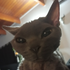 Avatar for JJ895_