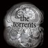 Avatar for The Torrents-US