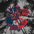 Avatar for Delonix Regia