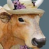 netfuel için avatar