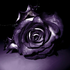 Avatar for EinstOnce