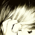 LadyofOchrasy için avatar