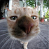 Avatar di PanasMr
