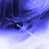 Avatar di 633397