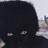Avatar for kuur12