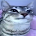 Avatar for RainyKara