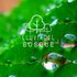 Avatar di Lluvia del Bosque
