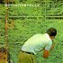 Schnittstelle için avatar