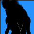 Avatar de SuperLora