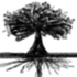 Avatar for Kr1zaliddrag0n