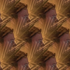 Avatar di a_rhizome