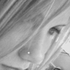Avatar for EssePercipi