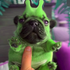 buldozek12 için avatar