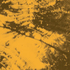 Avatar for shelfwalker