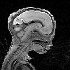 Avatar für requiemfolk