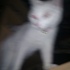 Avatar für footstarer
