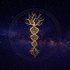 Awatar dla Sapien Medicine
