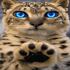 Avatar de norathesilly