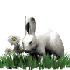 Avatar for conejisimo