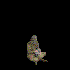 Avatar for Cnac