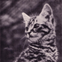 justyourdeath_x için avatar