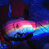 Avatar for disendium