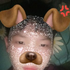 Avatar for lamzzz0