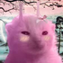 Avatar for Goobert-