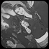 Avatar for x_patri_x