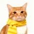 Avatar de Leekchu