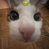 Avatar für nxgr4