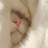 Avatar for sodnip