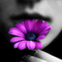 Avatar for similar_dream