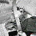 Avatar for t-3_