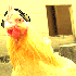 Avatar di Lusek_LSD
