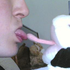 Avatar for h8r0x