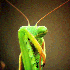Avatar for DeCh-DC8