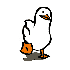 Avatar for blitzduck