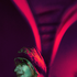 Avatar for AlienDisco