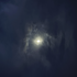 Avatar for cupidovirtual